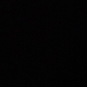 Meet your Posher, Will